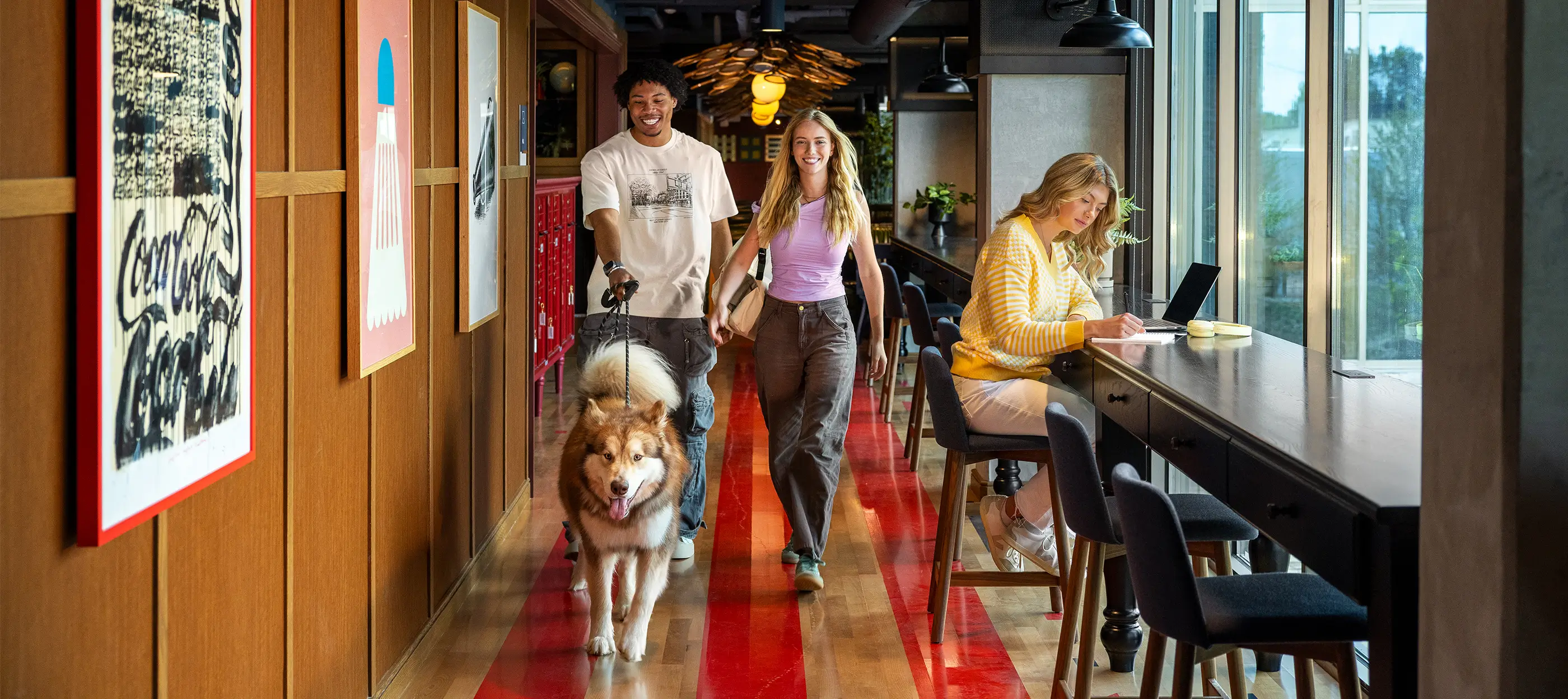 Couple walking a dog